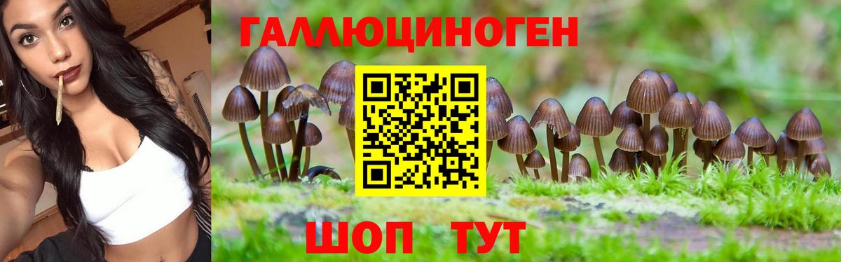 закладки  Галлюциногенные грибы Magic Shrooms  Вход с VPN  Псилоцибиновые грибы прущие грибы  Павловский Посад 